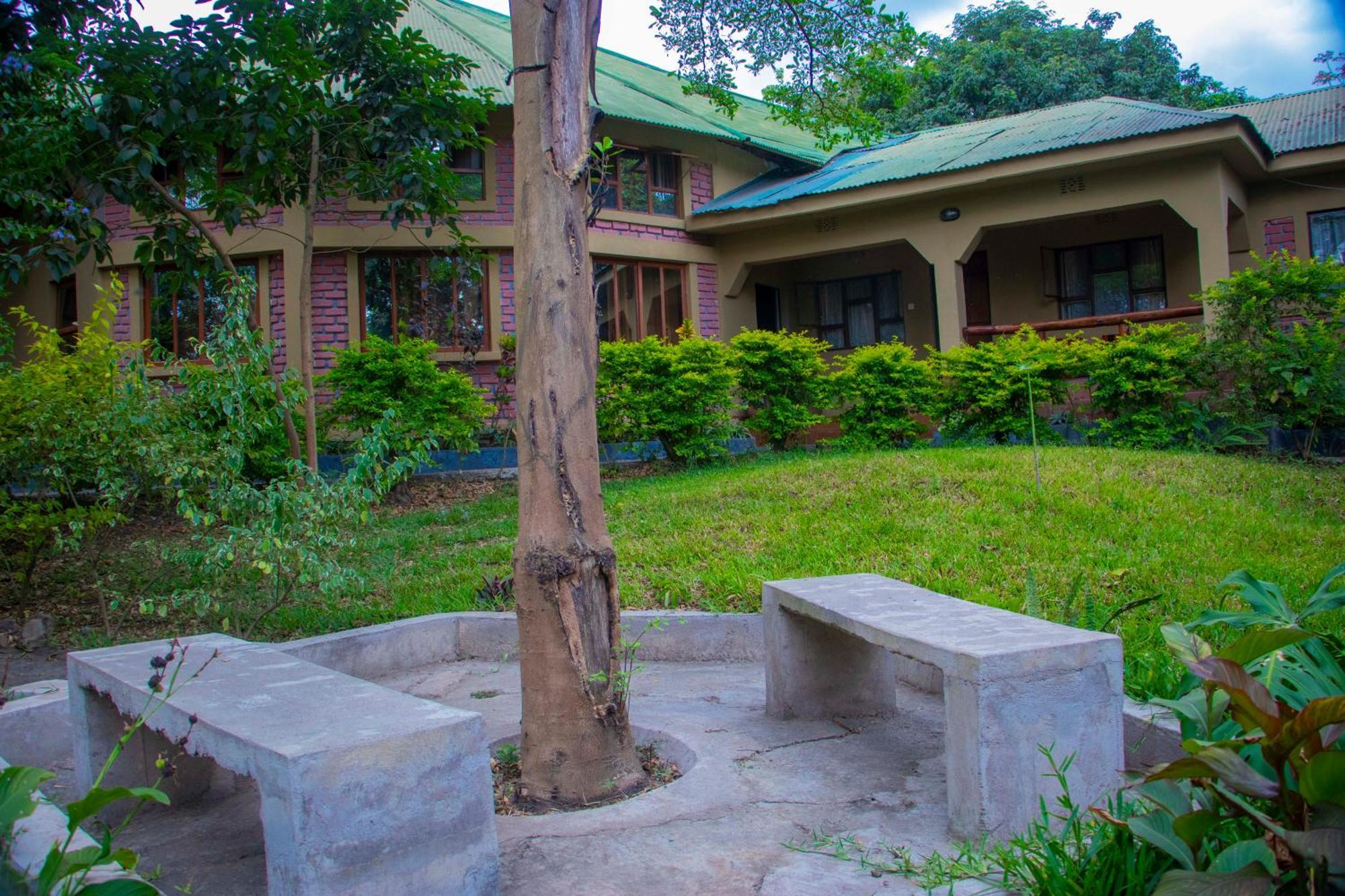 Shamba Hostel Usa River Eksteriør bilde